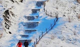 雪花那个飘里有辛柏青吗