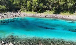 九寨沟旅游最佳时间几月份去